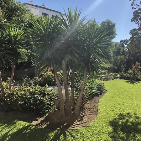 2274-groundfloor With Pool * Manilva